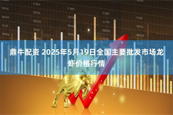 鼎牛配资 2025年5月19日全国主要批发市场龙虾价格行情