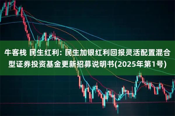 牛客栈 民生红利: 民生加银红利回报灵活配置混合型证券投资基金更新招募说明书(2025年第1号)