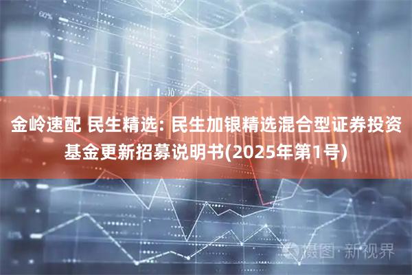 金岭速配 民生精选: 民生加银精选混合型证券投资基金更新招募说明书(2025年第1号)