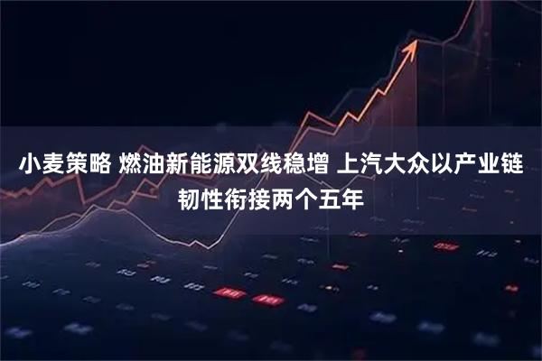小麦策略 燃油新能源双线稳增 上汽大众以产业链韧性衔接两个五年