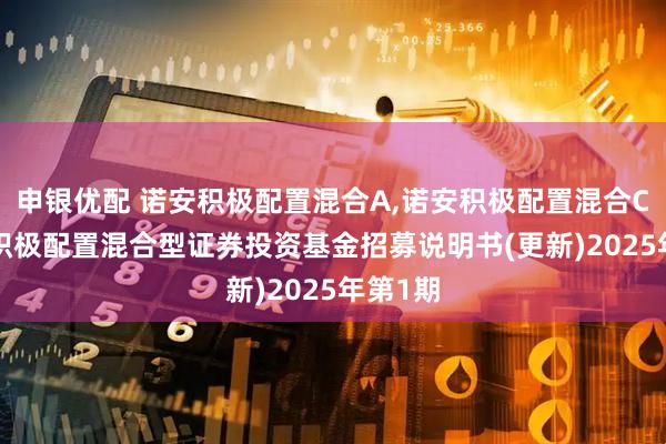 申银优配 诺安积极配置混合A,诺安积极配置混合C: 诺安积极配置混合型证券投资基金招募说明书(更新)2025年第1期