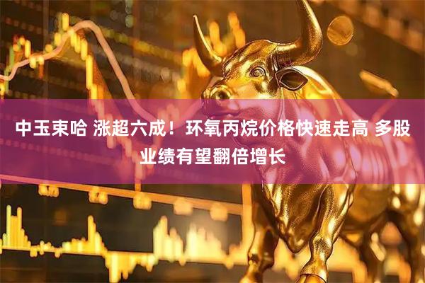 中玉束哈 涨超六成！环氧丙烷价格快速走高 多股业绩有望翻倍增长
